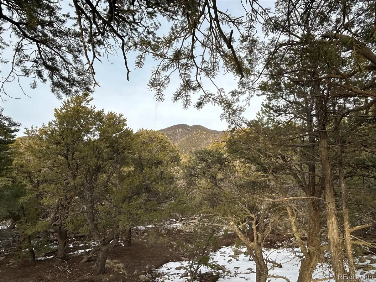 3593-3594 Splendid Way, Crestone, CO 81131 - #1