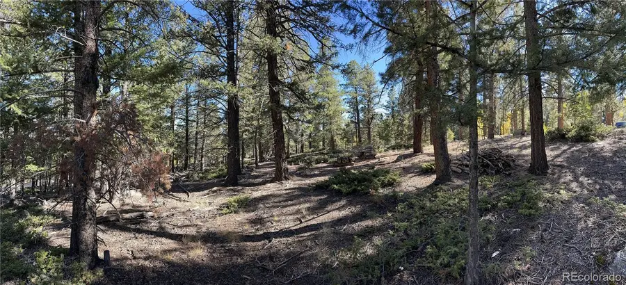 Aspen Turn, Buena Vista, CO 81211 - #3