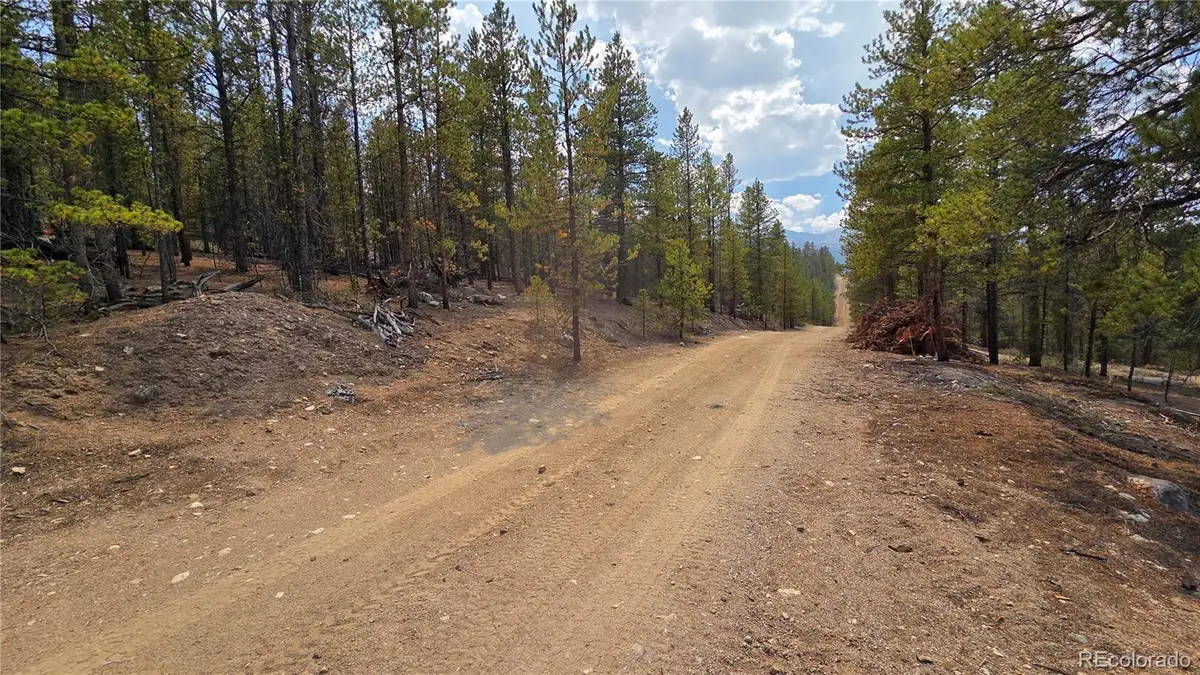67 Lodgepole Drive, Leadville, CO 80461 - #1