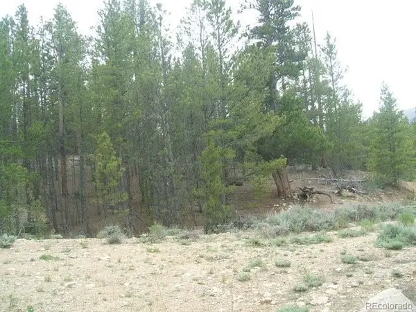 67 Lodgepole Drive, Leadville, CO 80461