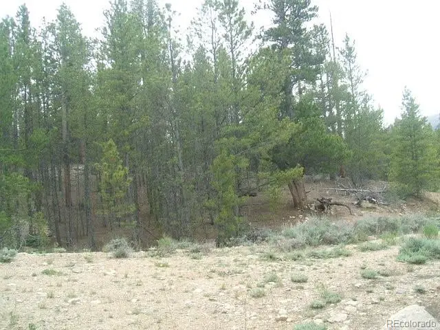 67 Lodgepole Drive, Leadville, CO 80461 - #3