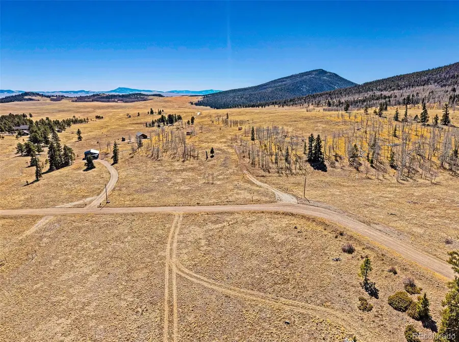 1250 Kaufman Road, Hartsel, CO 80449 - #3