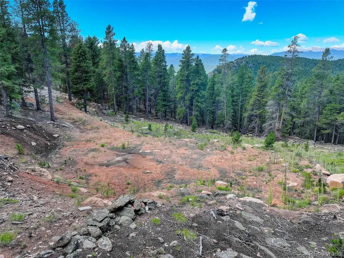 11275 Bear Run Trail, Conifer, CO 80433 - #1
