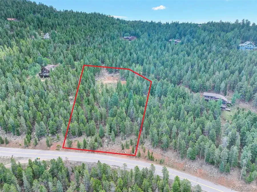 11275 Bear Run Trail, Conifer, CO 80433 - #2