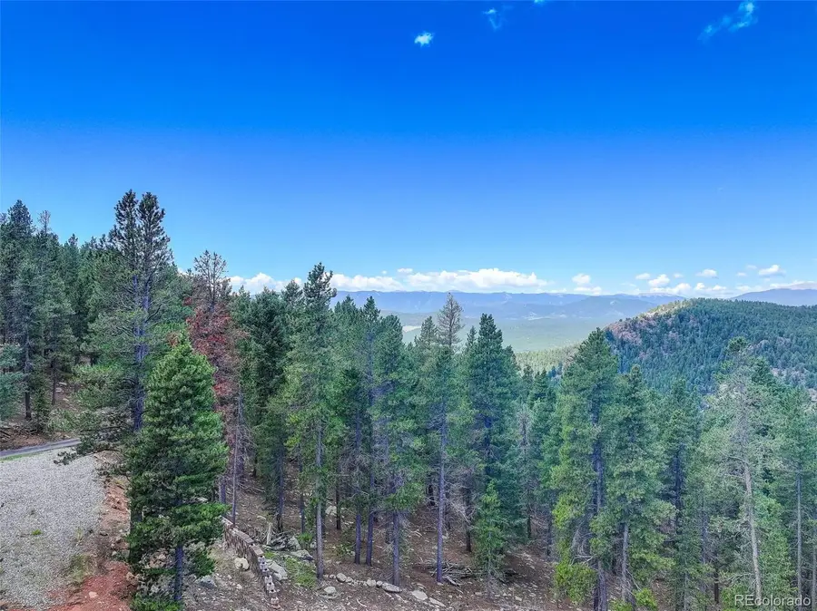 11275 Bear Run Trail, Conifer, CO 80433 - #3