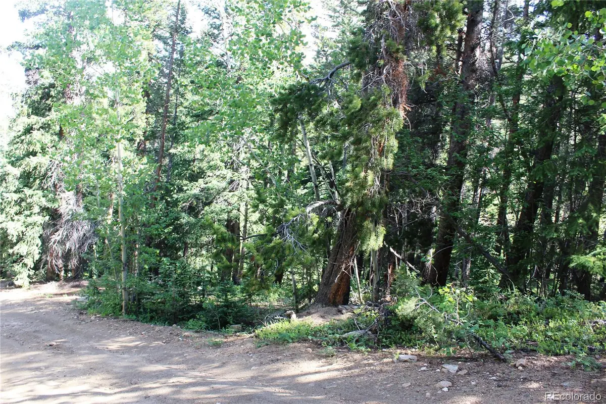 Lot 31 Sunflower Road, Black Hawk, CO 80422 - #1