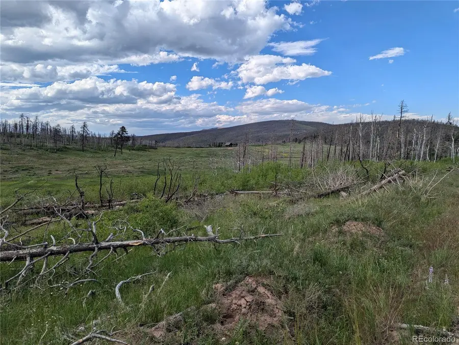 1692 Trimm Place, Fort Garland, CO 81133 - #3