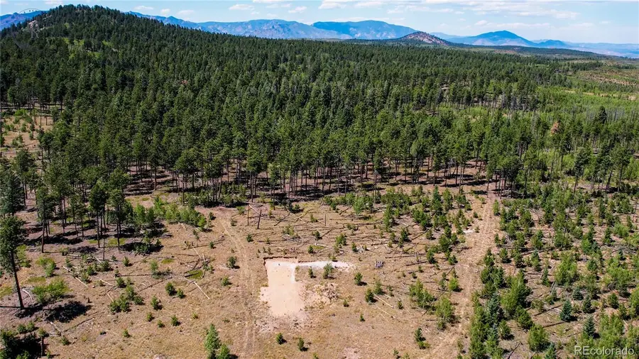 Lot 4 County Road 51, Florissant, CO 80816 - #3