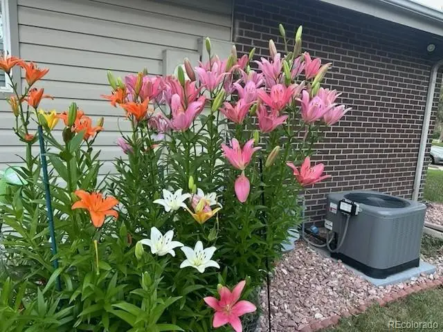 3225 S Garrison Street #51, Lakewood, CO 80227 - #2