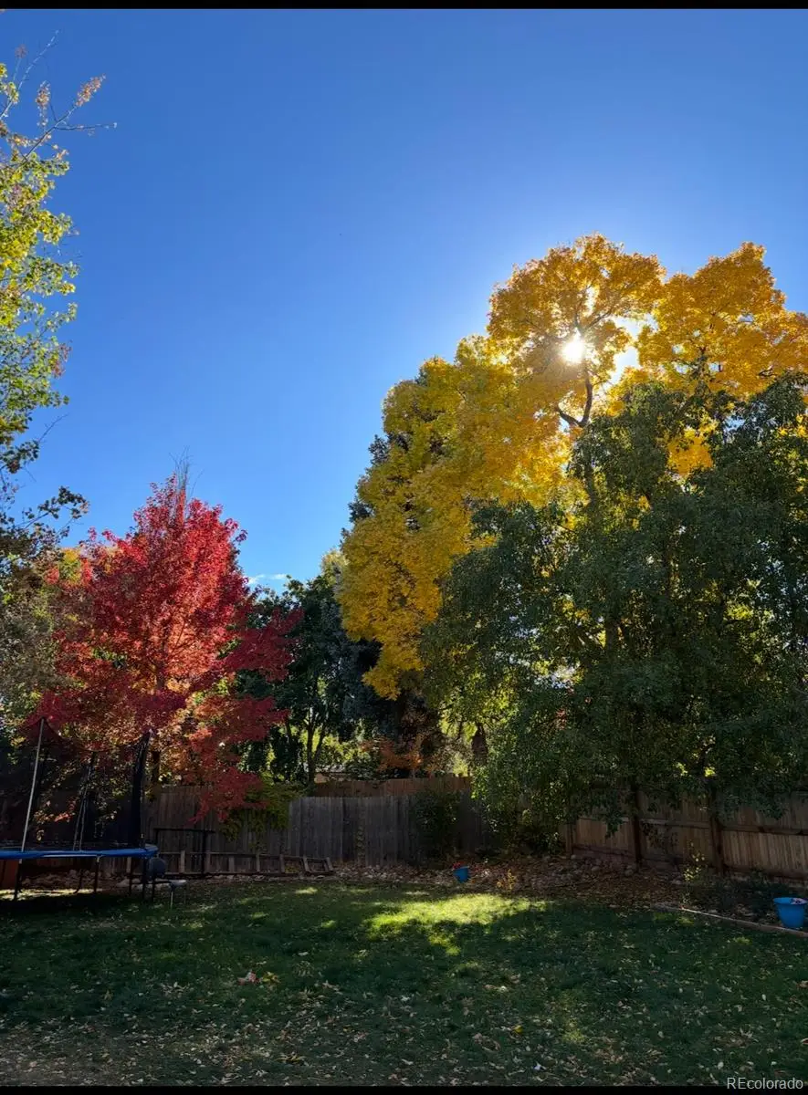 4449 S Xavier Street, Denver, CO 80236 - #3