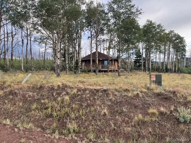 2424 Petito Drive, Fort Garland, CO 81133 - #2