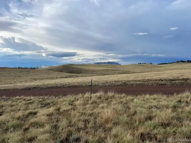 2424 Petito Drive, Fort Garland, CO 81133 - #3