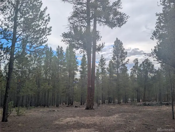 663 Spruce Drive, Twin Lakes, CO 80461