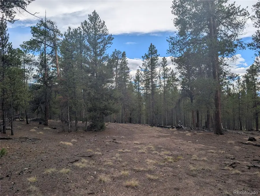 663 Spruce Drive, Twin Lakes, CO 80461 - #3