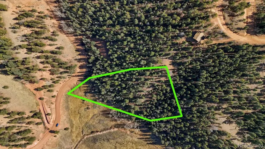 342 Vivenda Road, Cripple Creek, CO 80813 - Image #2