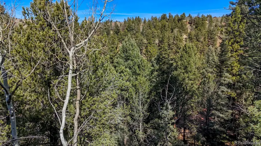 342 Vivenda Road, Cripple Creek, CO 80813 - Image #3