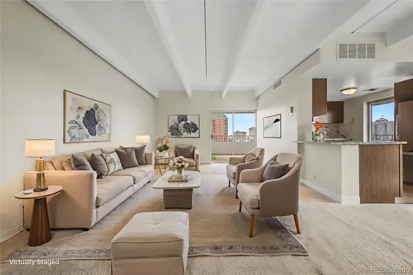 130 N Pearl Street #1103, Denver, CO 80203
