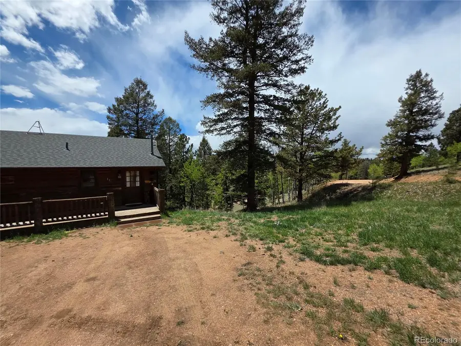 17 Deer Lake Circle, Divide, CO 80814 - #2