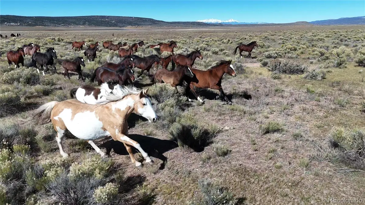 444 W Valley Dr, San Luis, CO 81152 - #1