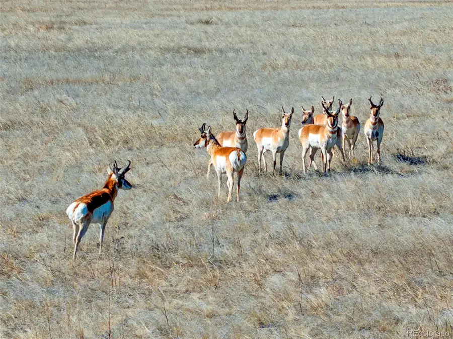 Parcel 1 S County Road 185, Byers, CO 80103 - #3