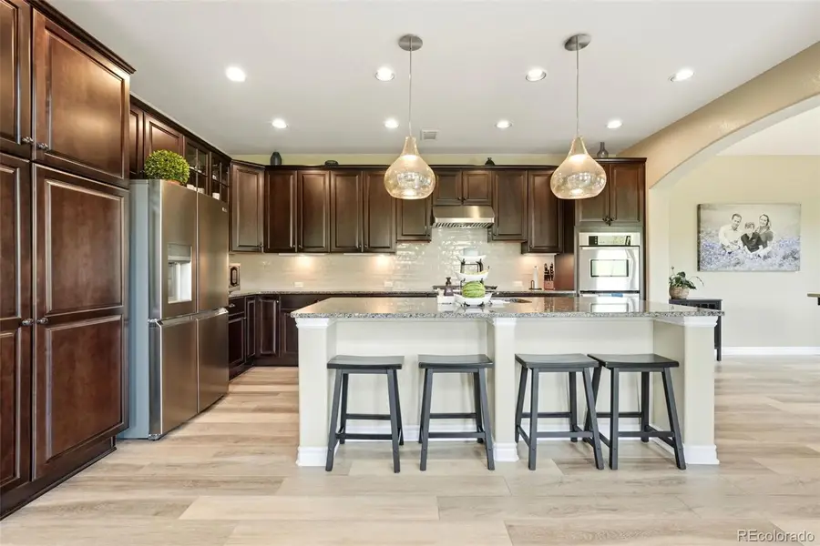 9274 Viaggio Way, Highlands Ranch, CO 80126 - #2