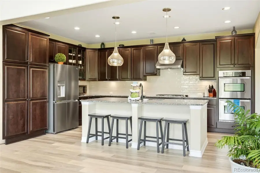 9274 Viaggio Way, Highlands Ranch, CO 80126 - #3