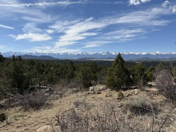 000 Redtail Trail, Texas Creek, CO 81223