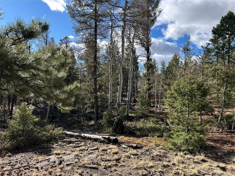 1581 Bellows Road, Hartsel, CO 80449 - #2