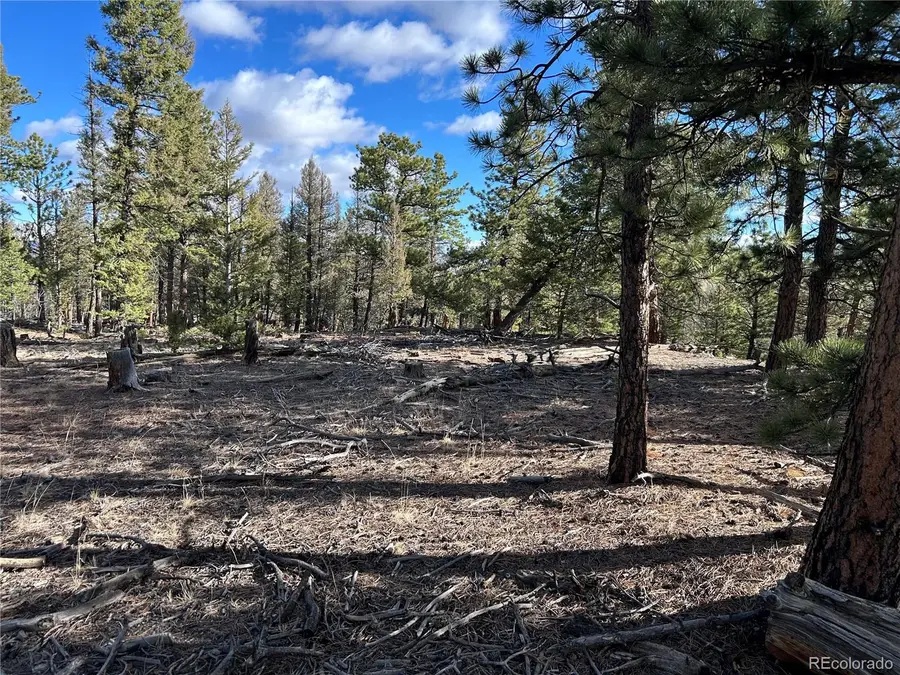 1581 Bellows Road, Hartsel, CO 80449 - #3