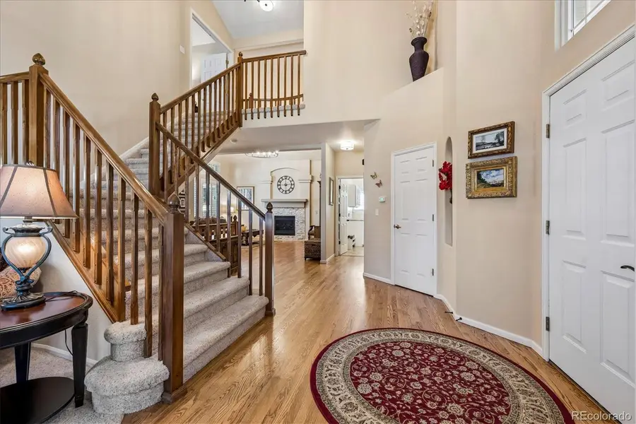 10602 Baneberry Street, Highlands Ranch, CO 80129 - #3