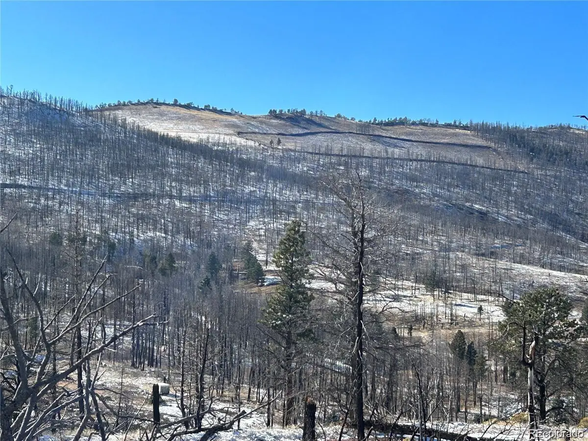 Lot 1039 Forbes Park Ranch, Fort Garland, CO 81133 - Image #1