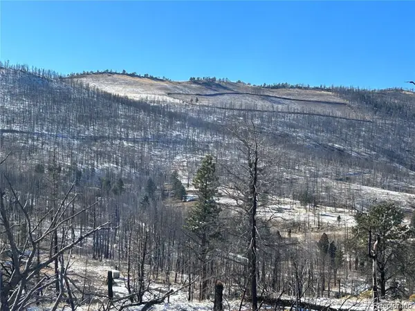 Lot 1039 Forbes Park Ranch, Fort Garland, CO 81133