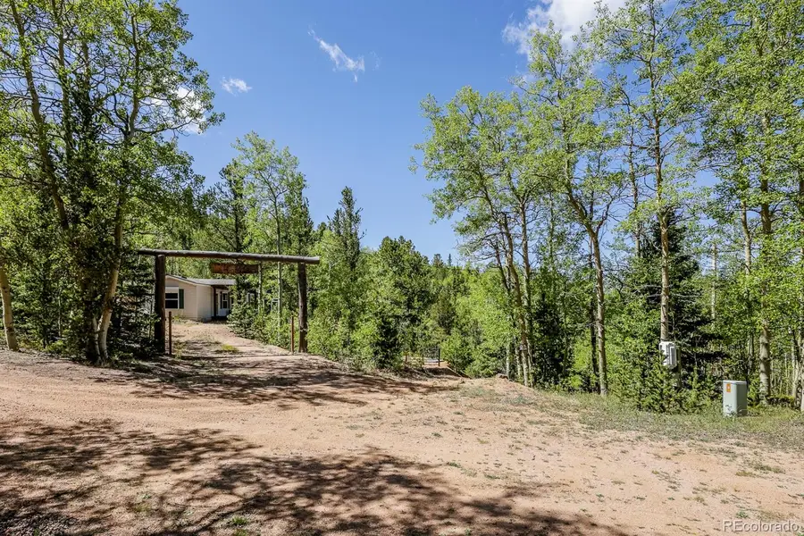 9525 S State Highway 67, Divide, CO 80814 - #3