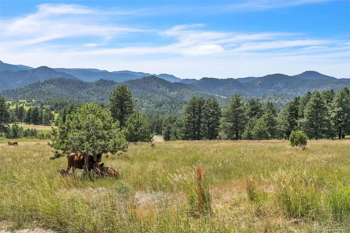 Beulah Highlands Road, Beulah, CO 81023 - #1