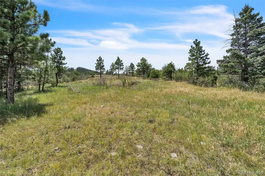 Beulah Highlands Road, Beulah, CO 81023 - #3