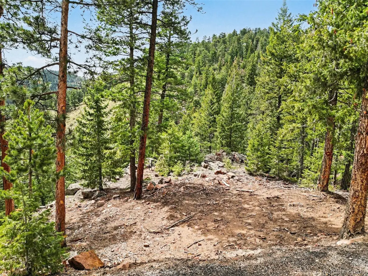7141 Timber Trail Road, Evergreen, CO 80439 - #1