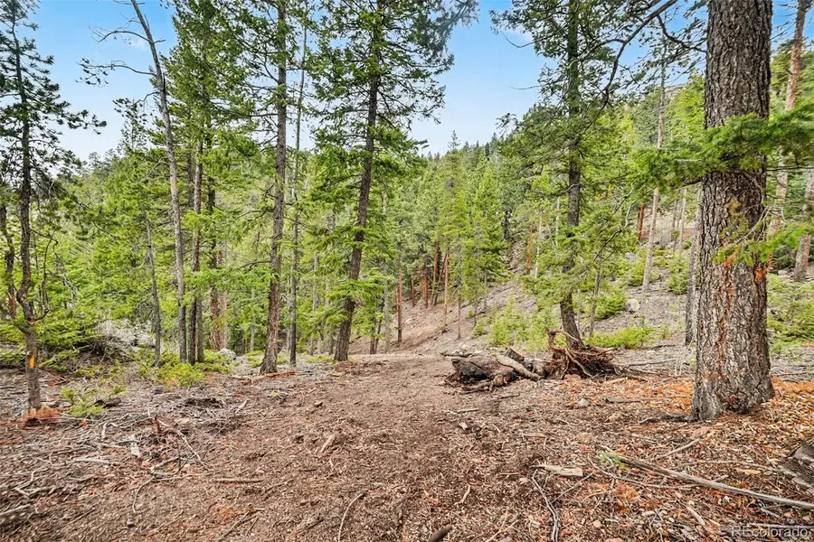 7141 Timber Trail Road, Evergreen, CO 80439 - #2