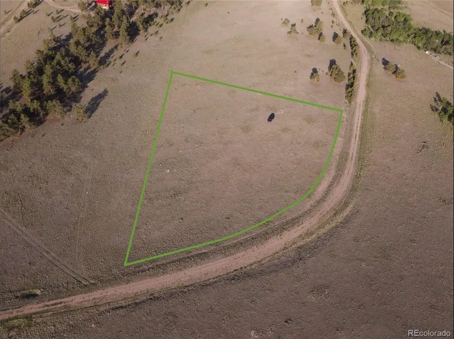 767 Brahma Circle, Hartsel, CO 80449 - #2