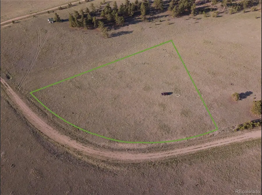 767 Brahma Circle, Hartsel, CO 80449 - #3