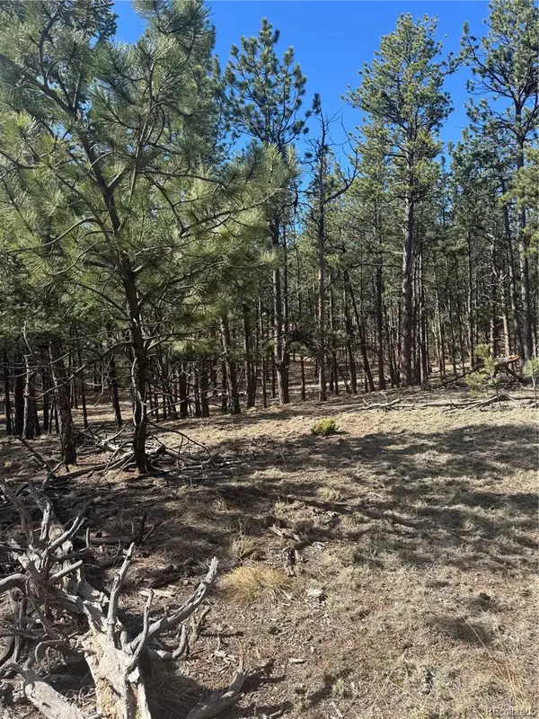 642 Matterhorn Drive, Florissant, CO 80816