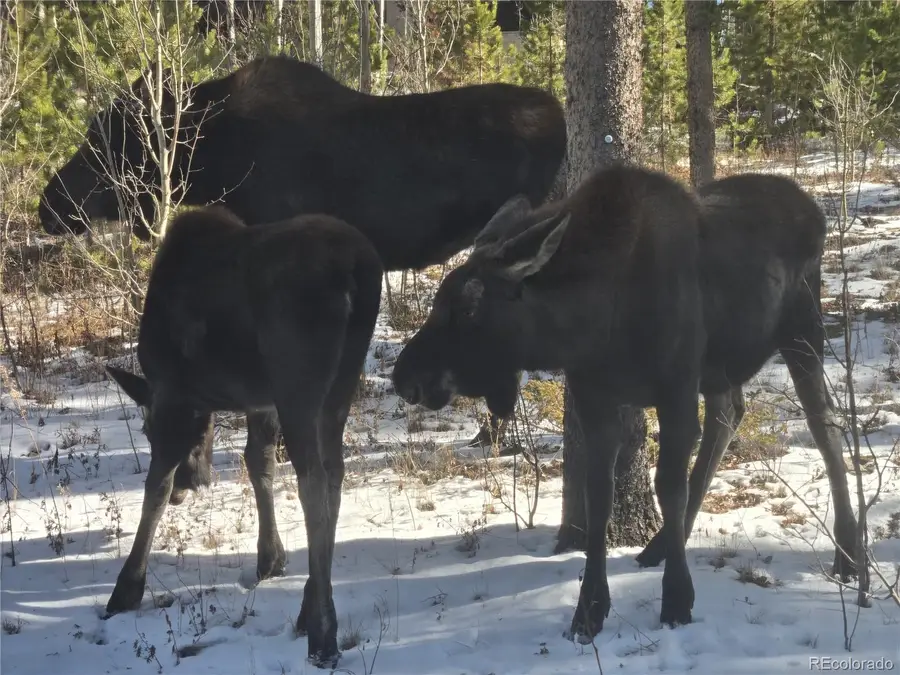 1279 American Way, Breckenridge, CO 80424 - #2