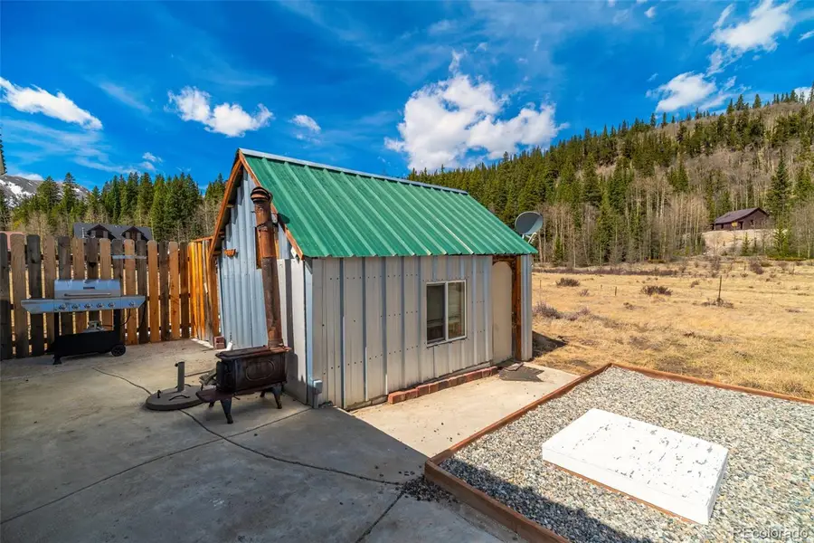 2491 Cr-12, Alma, CO 80420 - #3