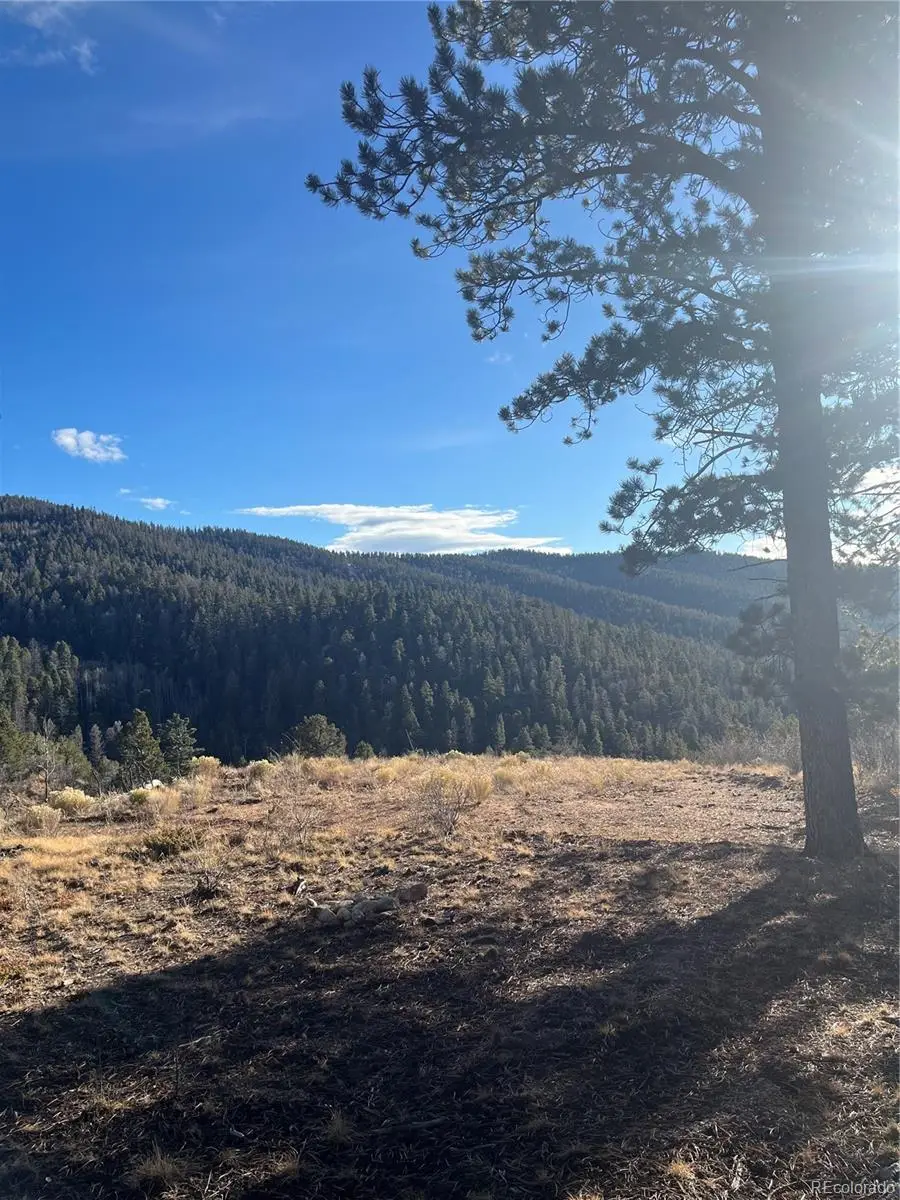 Forbes Rd, Fort Garland, CO 81133 - #2