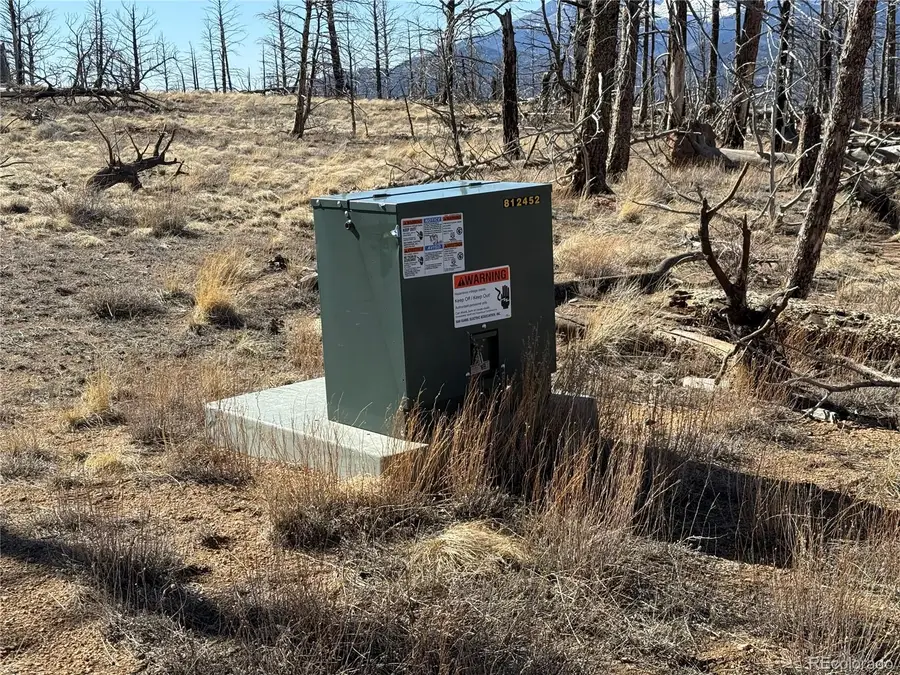 Lot 385 Soubry Place, Fort Garland, CO 81133 - #3