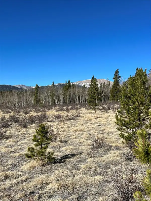 247 Thickspike, Fairplay, CO 80440