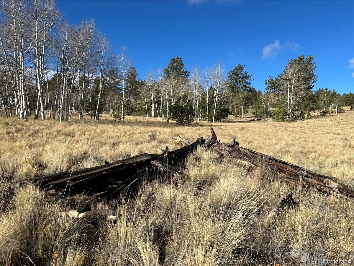 203 Doubletree, Hartsel, CO 80449 - #1