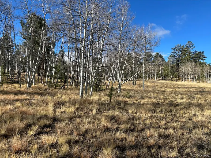 203 Doubletree, Hartsel, CO 80449 - #2