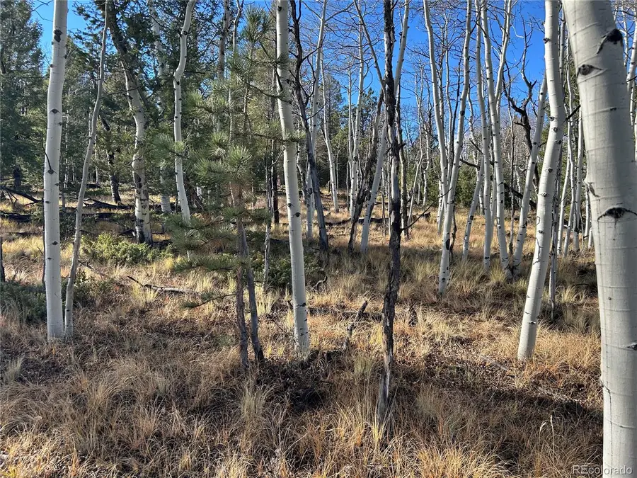 203 Doubletree, Hartsel, CO 80449 - #3