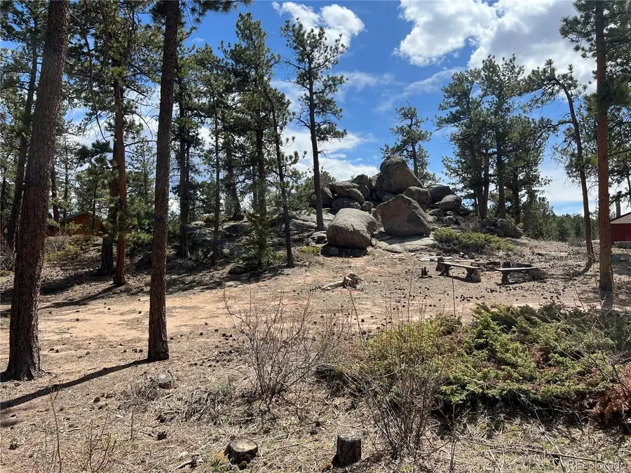 90 Letitia Drive, Red Feather Lakes, CO 80545 - #3