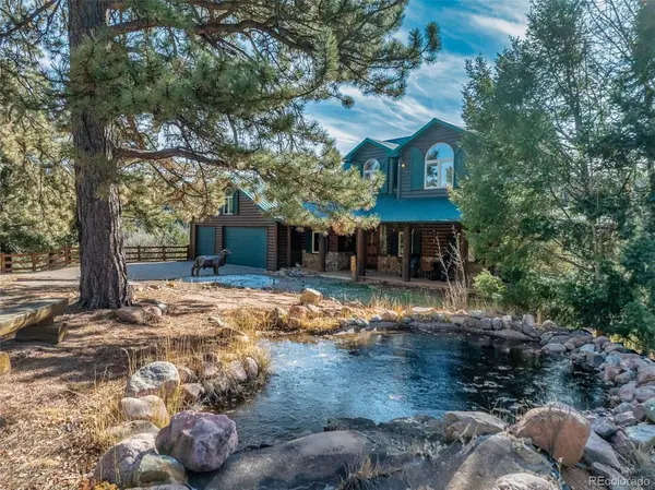 528 Mohawk Heights, Florissant, CO 80816